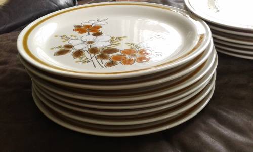 13 Vintage Highland Florals Collection Japanese Stoneware Dinner Plates Mountain Florals