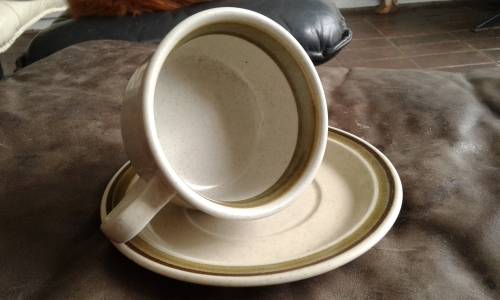 Vintage Premiere Potterskraft Lazy Daisies P6030 Japanese Stonewar Cup And Saucer