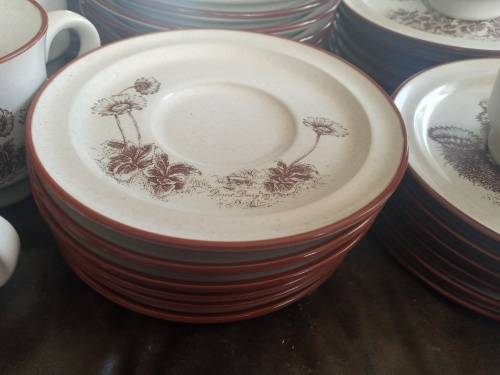Rare Vintage NORITAKE `Desert Flowers` Stoneware Dinner Set Mid Century Modern Complete no 8341