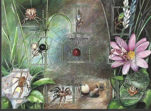 Rsa Sacc 1624-1633 Spiders of South Africa