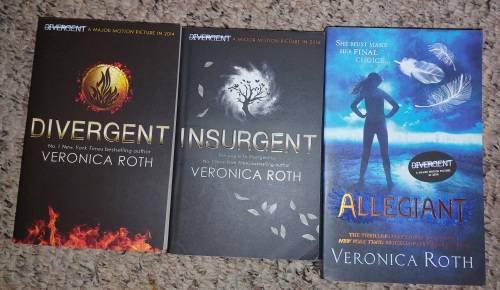 14 piece Young Adult (YA) Book Collection.