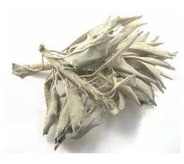 White Sage Leaves 10g