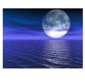 Full Moon Water 50ml