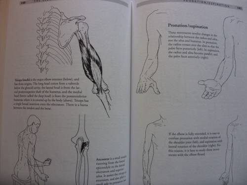 Anatomy of Movement by Blandine Calais-Germain - postage included