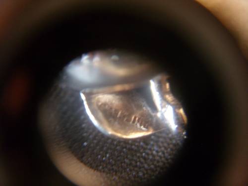 Large Sterling silver apple & chilli pepper charms - 13,1 g (together)