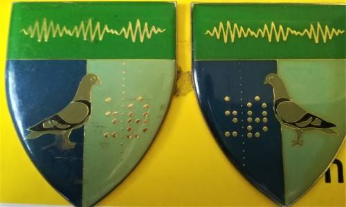 SADF - Flashes Facing Pair Set - Signals Corps - All pins intact - RARE