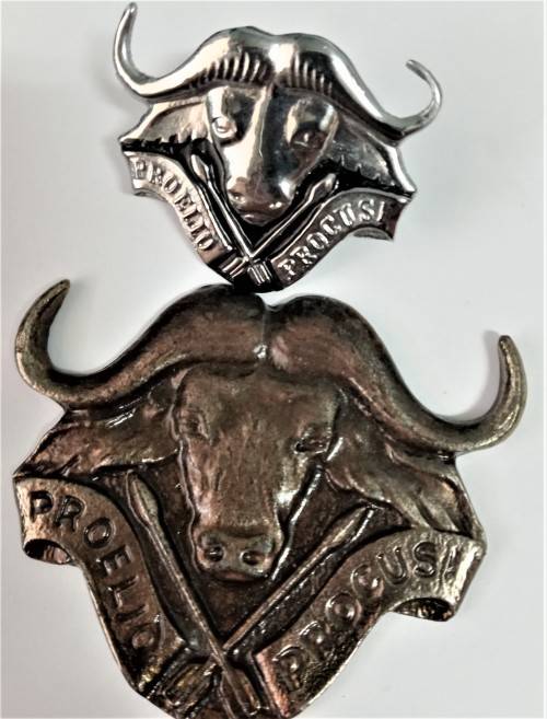 Both x 32 battalion beret badge plus plaque badge - MASSIVE BARGAIN