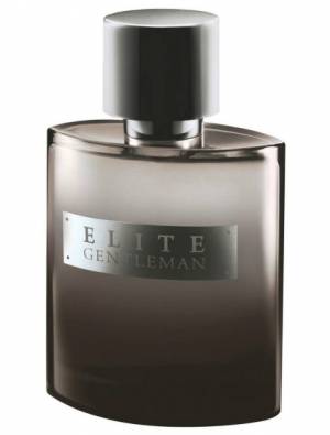 AVON ELITE GENTLEMAN EAU DE TOILETTE AND VAPORISATEUR FOR HIM