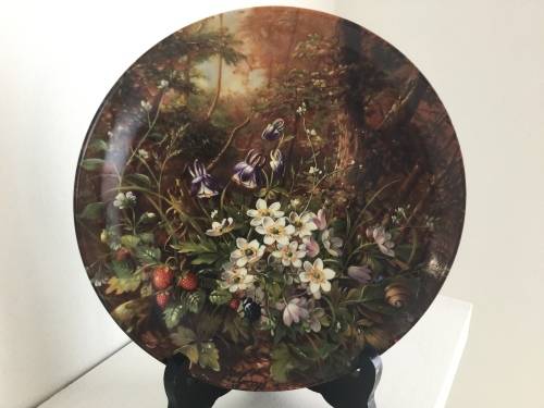 Set of 12 Botanical Furstenberg wild beauty wall plates