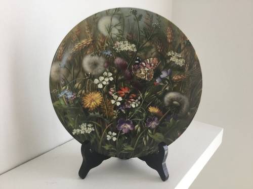 Set of 12 Botanical Furstenberg wild beauty wall plates