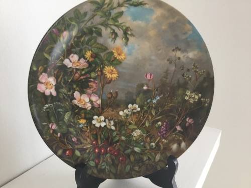 Set of 12 Botanical Furstenberg wild beauty wall plates