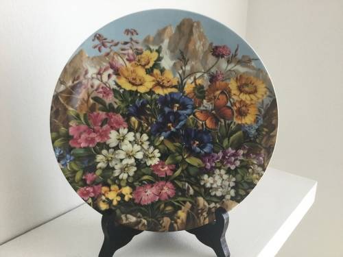 Set of 12 Botanical Furstenberg wild beauty wall plates