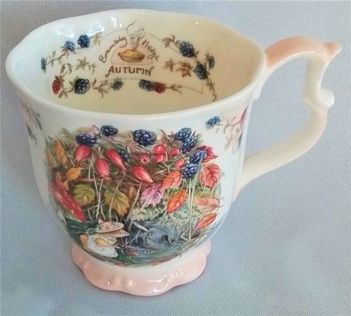 Royal  Doulton   -  Brambly  Hedge  -   Mug