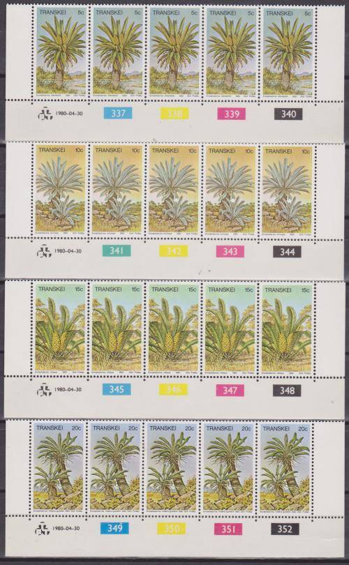 Transkei Cycads control strips of 5