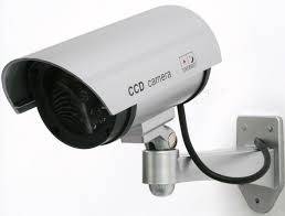 Realistic Looking Dummy IR Camera with flashing red light - Collections Welcome