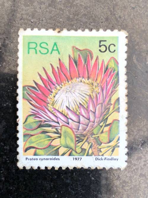 A COLLECTION OF SOUTHERN AFRICAN STAMPS ~ CHECK DESCRIPTION FOR MORE PICTURES