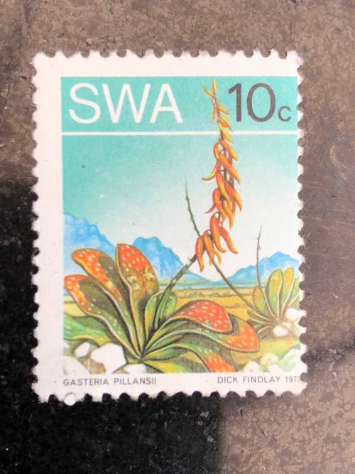 A COLLECTION OF SOUTHERN AFRICAN STAMPS ~ CHECK DESCRIPTION FOR MORE PICTURES