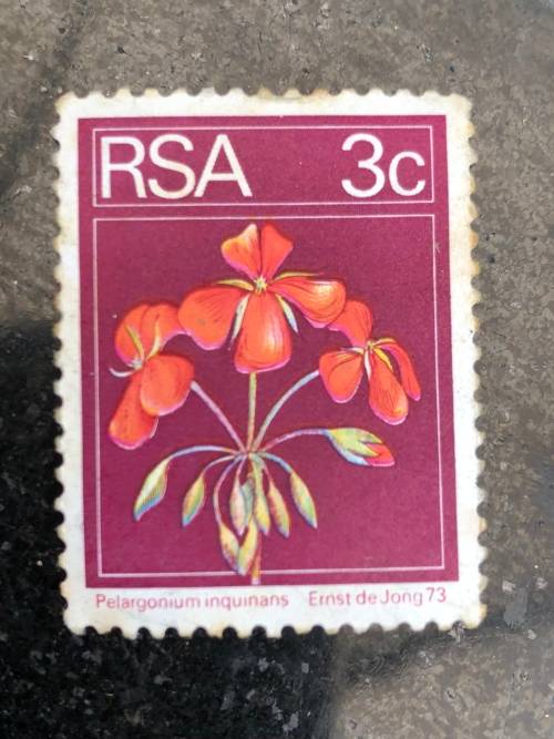 A COLLECTION OF SOUTHERN AFRICAN STAMPS ~ CHECK DESCRIPTION FOR MORE PICTURES