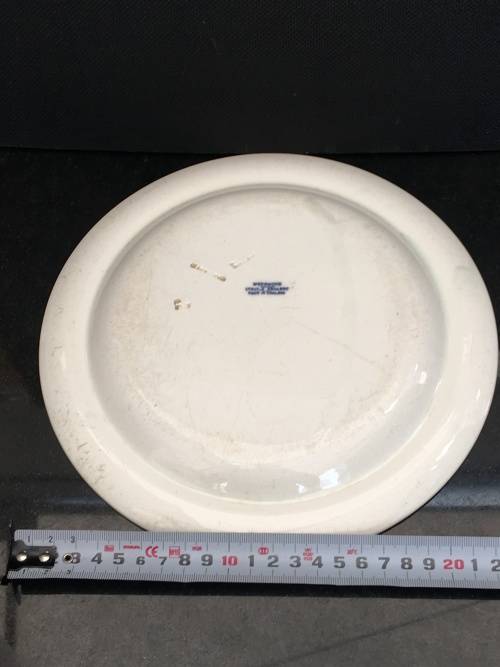 Ultra Rare c1894 Wedgwood Etruria Plate Hand painted Japanese Temple & Garden.imprint markings. W26