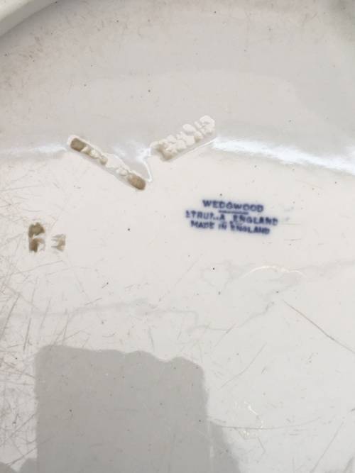 Ultra Rare c1894 Wedgwood Etruria Plate Hand painted Japanese Temple & Garden.imprint markings. W26