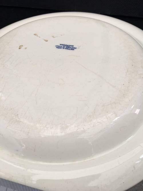 Ultra Rare c1894 Wedgwood Etruria Plate Hand painted Japanese Temple & Garden.imprint markings. W26