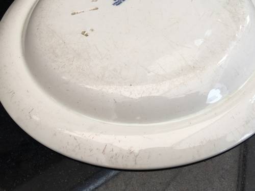 Ultra Rare c1894 Wedgwood Etruria Plate Hand painted Japanese Temple & Garden.imprint markings. W26