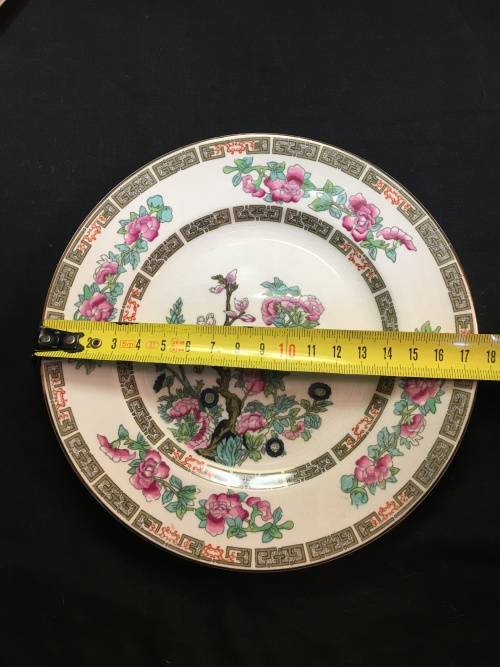 Absolutely Stunning  c1930s  Maddock England Vitreous Indian Tree Side Plate 17 cm