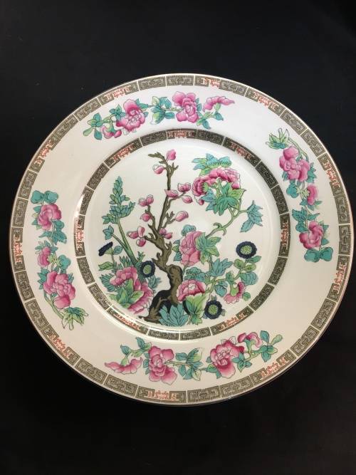 Absolutely Stunning  c1930s  Maddock England Vitreous Indian Tree Dinner Plate 22 cm