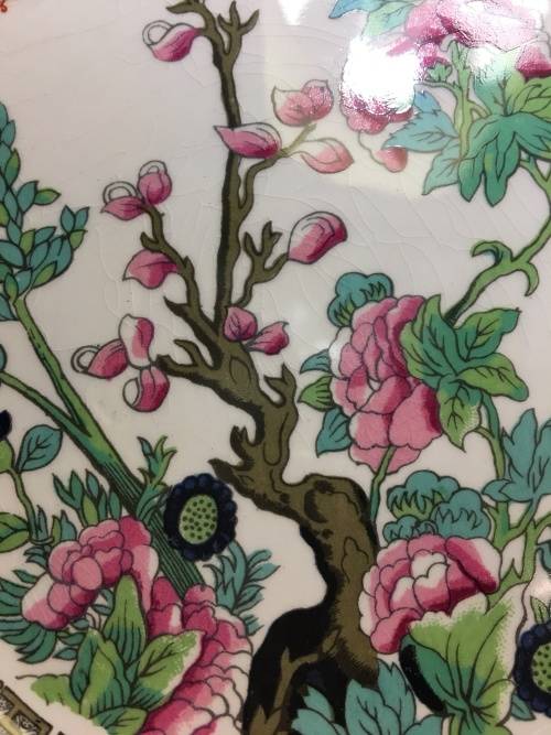 Absolutely Stunning  c1930s  Maddock England Vitreous Indian Tree Dinner Plate 22 cm