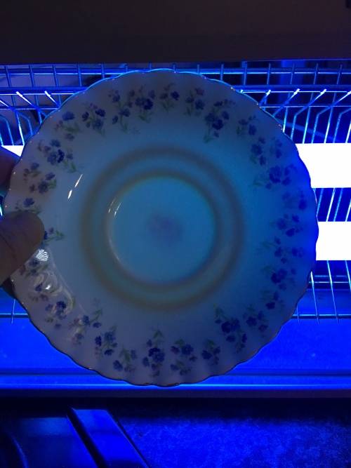 Absolutely Beautiful  Royal Albert Bone China Memory Lane Blue & Pink & Gold Gilt Trio, Like New