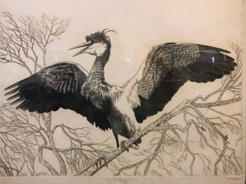 WOW !!! ORIGINAL DAVID WICKS ENGRAVING - CHIEF ENGRAVER TO THE ROYAL MINT TILL 1989