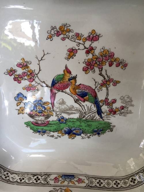 Ultra Rare Vintage 1951-1971 "EDEN" By Copeland Spodes, Square Serving Dish.