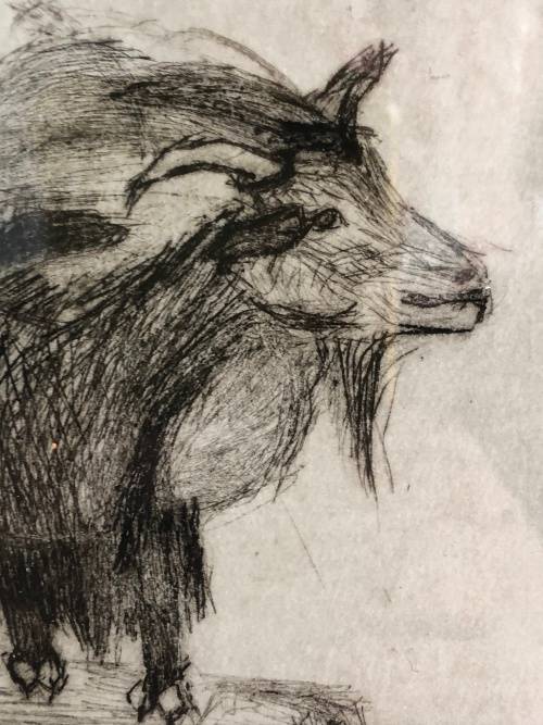 WOW !!! ROMY SIEBERT GERMAN ARTIST HUGE FRAMED ORIGINAL ETCHING No 17/50 ROSTOCK ZOO 2003