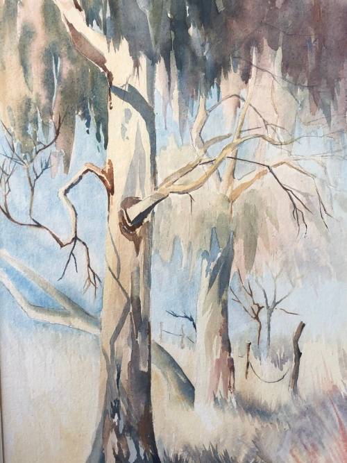 STUNNING LARGE FRAMED WATERCOLOR PAINTING OF BLUEGUM TREES DATED 1980 BY A. EIDELMAN