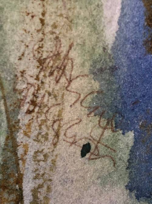 STUNNING FRAMED WATERCOLOR STILL LIFE OF FLOWERS "COSMOS" BY MAGGIE #1