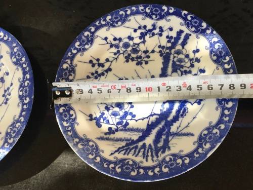 2 Old Japanese Blue Hand Painted Cherry Blossom Porcelain 18.5 cm Plates