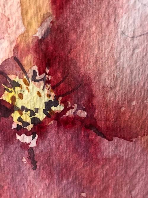 BEAUTIFUL WATERCOLOUR PAINTING STILL LIFE OF  FLOWERS BY BERYL JOHNSEN - NEATLY FRAMED BEHIND GLASS