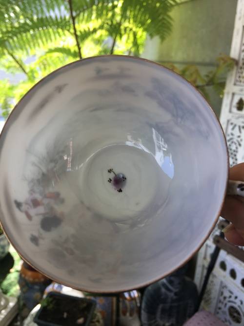 Antique Japanese Seal Mark Hand Painted Lithophane Tea Trio with Flower Motif inside Cup