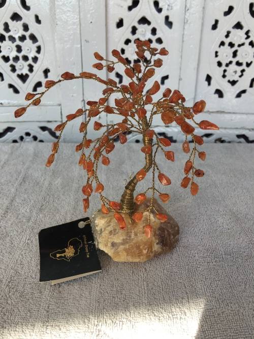 African Dream Trees Willow Tree, Base Aragonite Crystal, Trim Carnelia Crystals