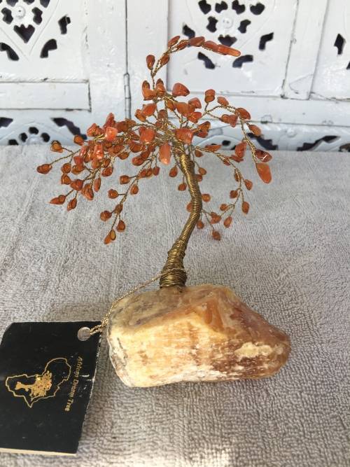 African Dream Trees Willow Tree, Base Aragonite Crystal, Trim Carnelia Crystals
