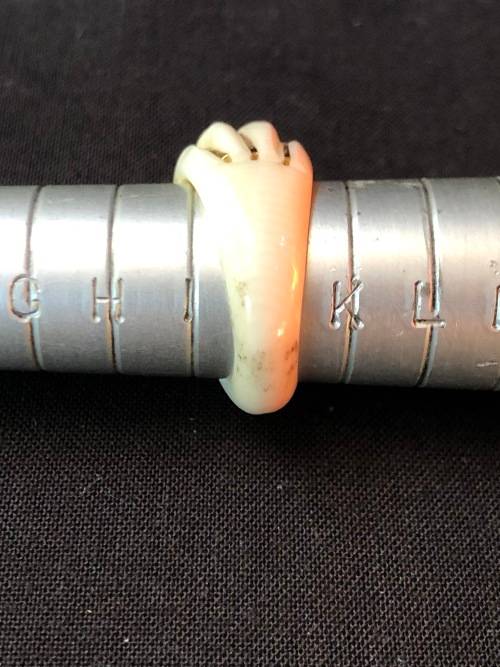 BEAUTIFUL 14ct GOLD INLAID RING - RING IS MADE FROM AN ANIMAL PRODUCT - NOT FOR EXPORT