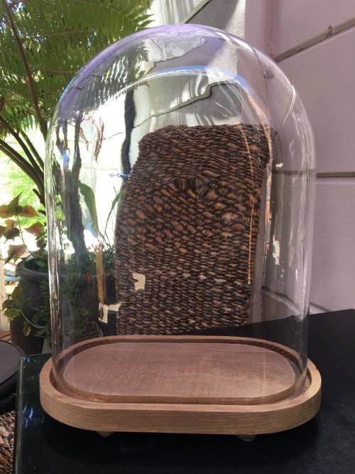 Large Rare Antique hand blown glass dome on a wooden base