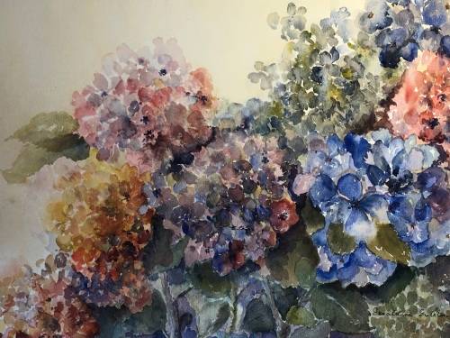 GERALDINE GULSTON (SA 20th CENTURY) LARGE UNFRAMED WATERCOLOUR PAINTING `HYDRANGEAS`