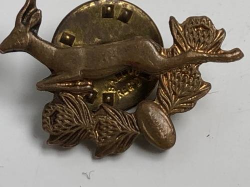 RARE PAIR OF SOUTH AFRICAN SPRINGBOK RUGBY COLLAR PINS