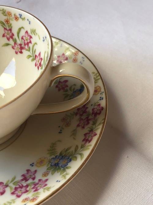 Johann Seltmann Vohenstrauß c1955 - Bavaria tea cup and saucer duo - Mint