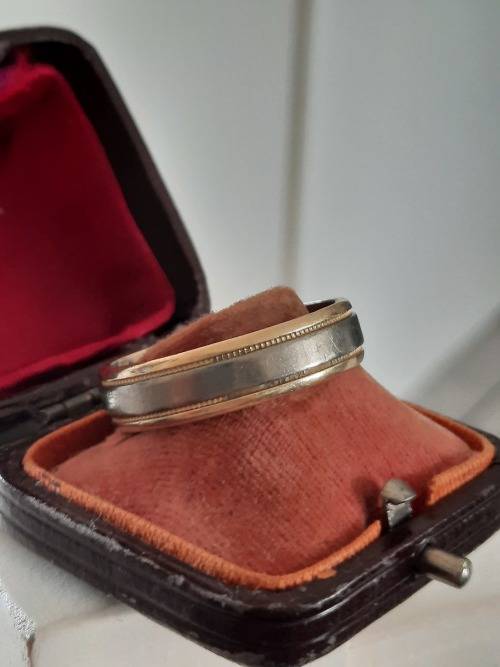 Men`s 14ct gold and titanium ring