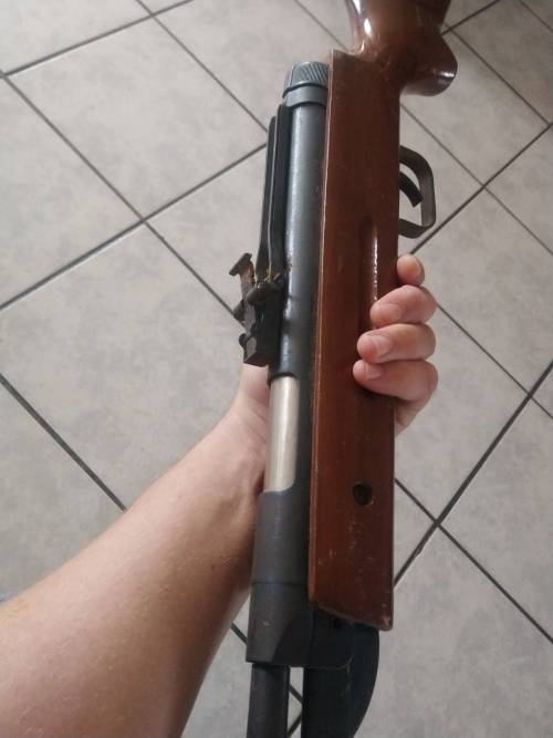 vintage pellet gun
