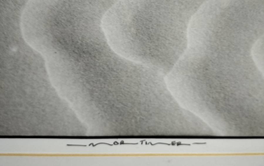 Mortimer - Abstract photograph - No 15 of 25