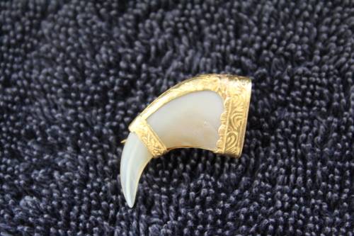 Vintage Gold Lion's Claw Brooch Pin