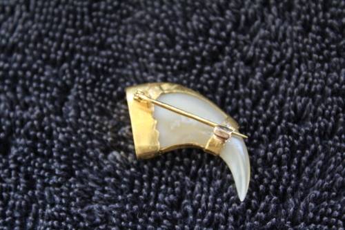 Vintage Gold Lion's Claw Brooch Pin